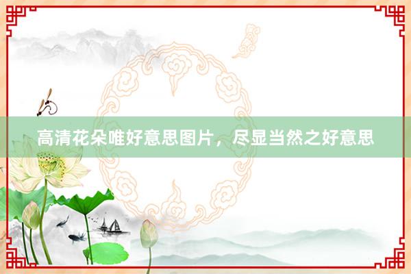高清花朵唯好意思图片，尽显当然之好意思
