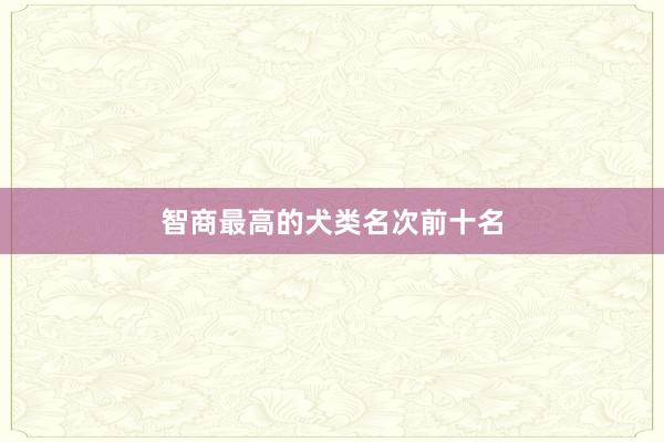 智商最高的犬类名次前十名